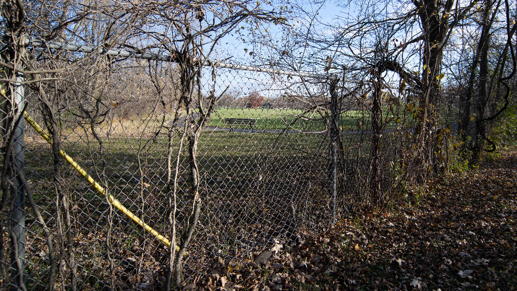 18602 Chicago Avenue Lansing, IL 60438 - Photo 16 of 22 a view of a forest filled with trees