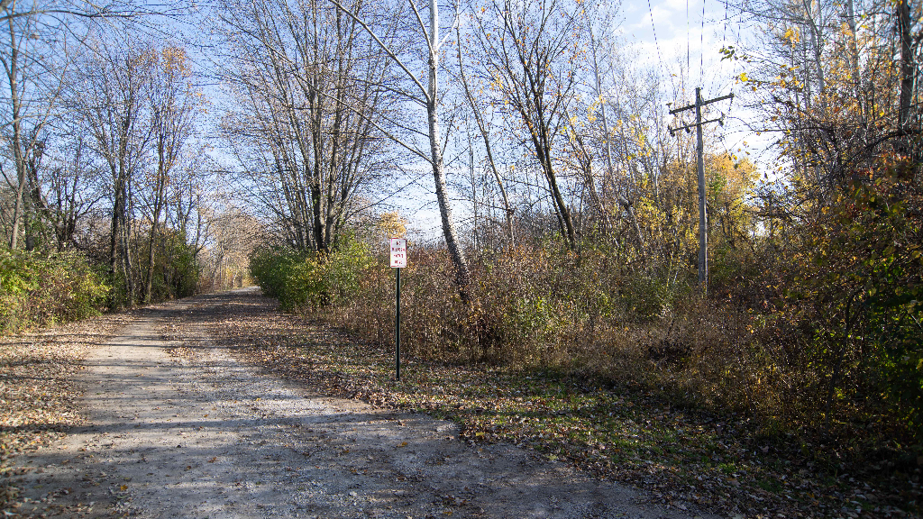 18602 Chicago Avenue Lansing, IL 60438 - Photo 18 of 22 a view of a forest filled with trees