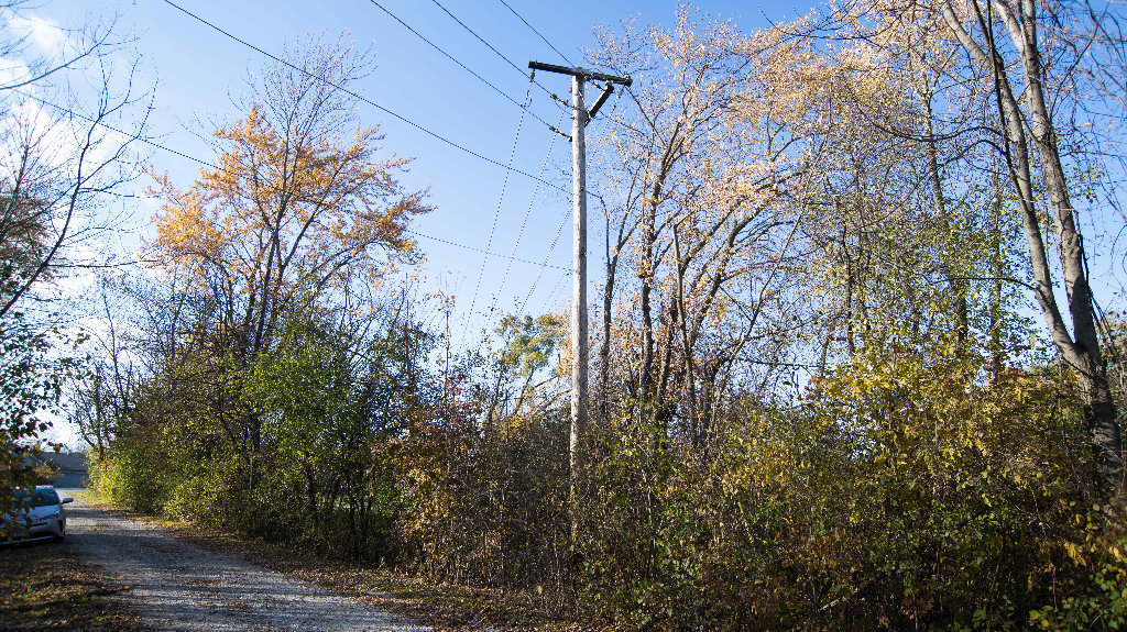 18602 Chicago Avenue Lansing, IL 60438 - Photo 20 of 22 a backyard of a house with lots of green space