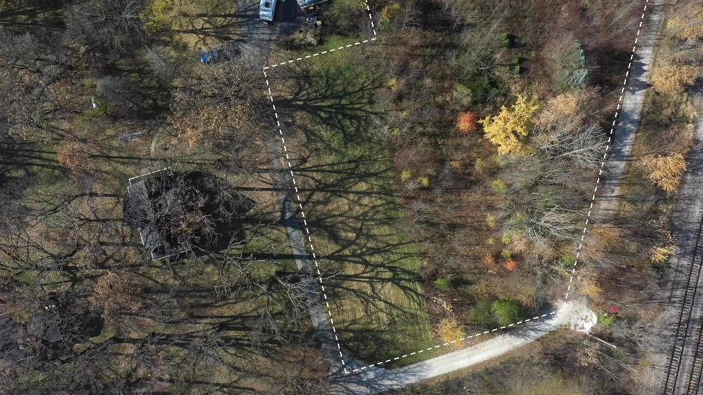 18602 Chicago Avenue Lansing, IL 60438 - Photo 10 of 22 a view of a tree in a forest