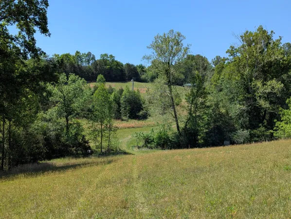 $159,500 | Tract A Brooks Mill Road, Glade Hill, VA 24092