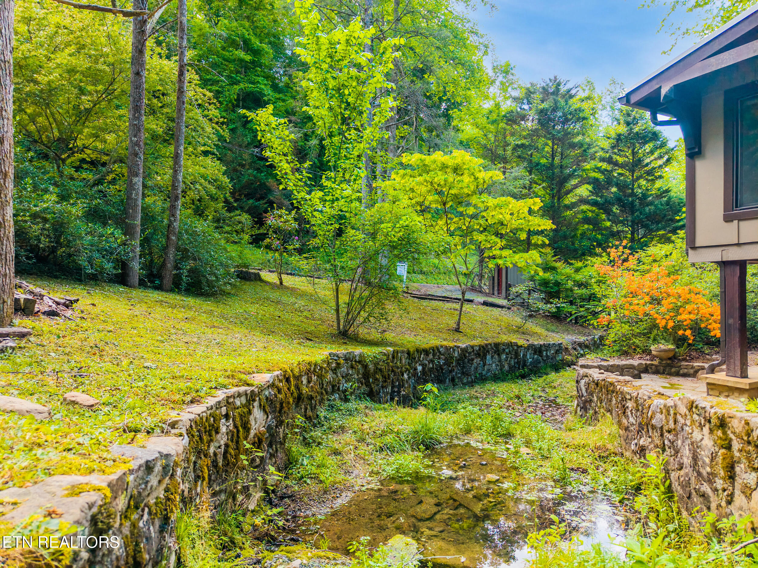 259 Black Mash Hollow Road Townsend, TN 37882 - Photo 6 of 42 IMG_2831