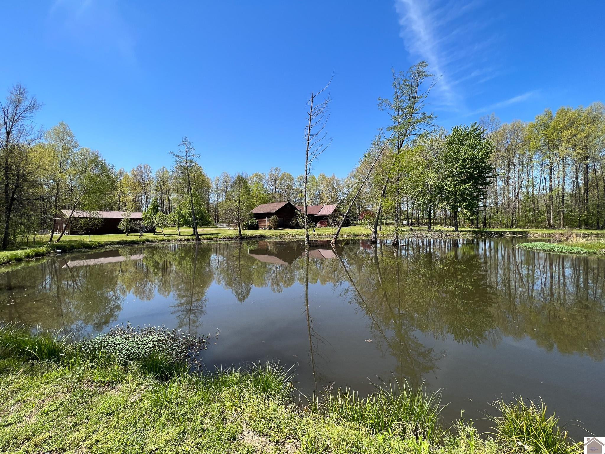1710 State Highway 1125 South Fulton, KY 42041 - Photo 41 of 50 Photo 41
