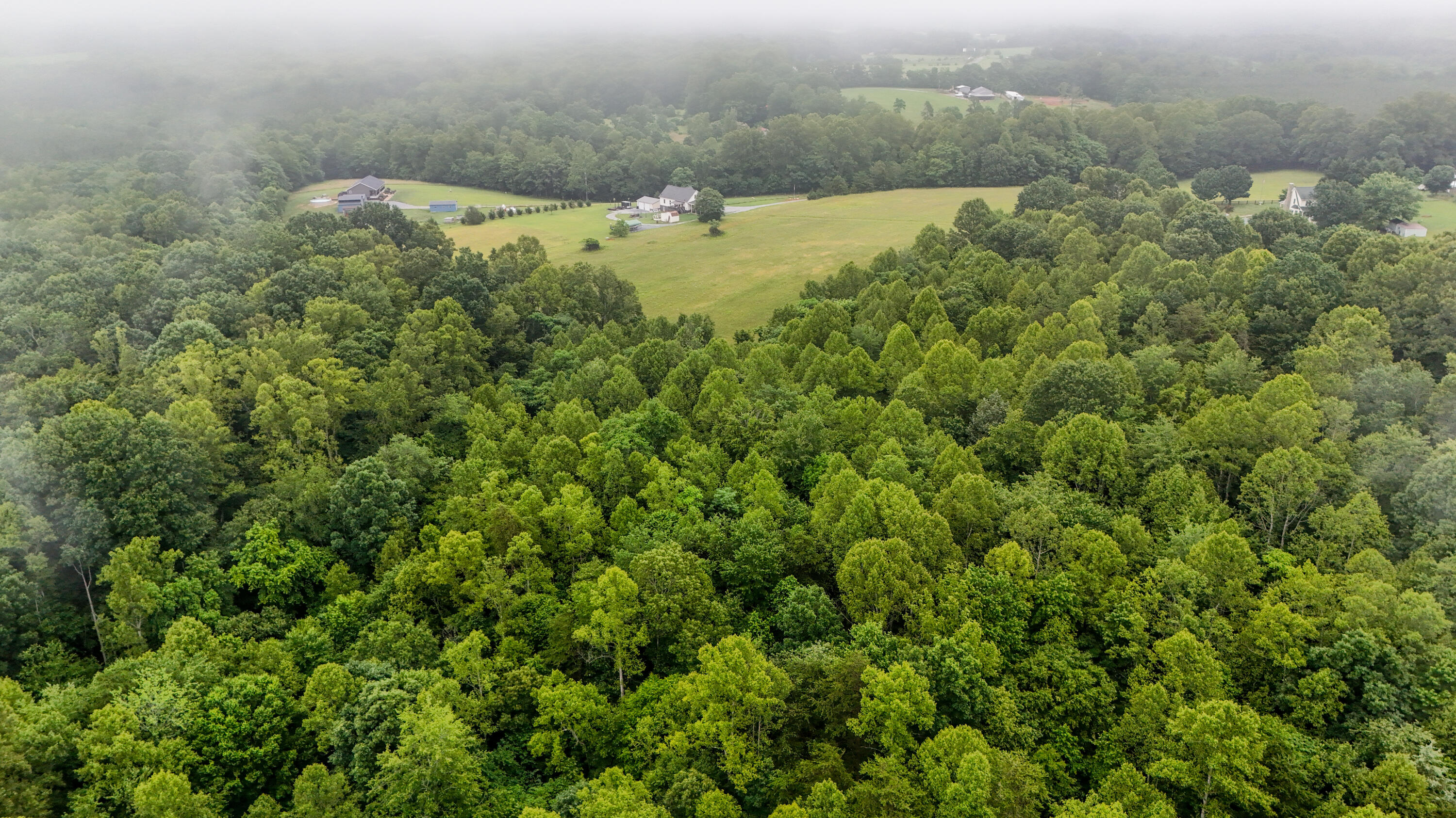 0 Ayers Road Moneta, VA 24121 - Photo 6 of 13 Ayers Rd_014