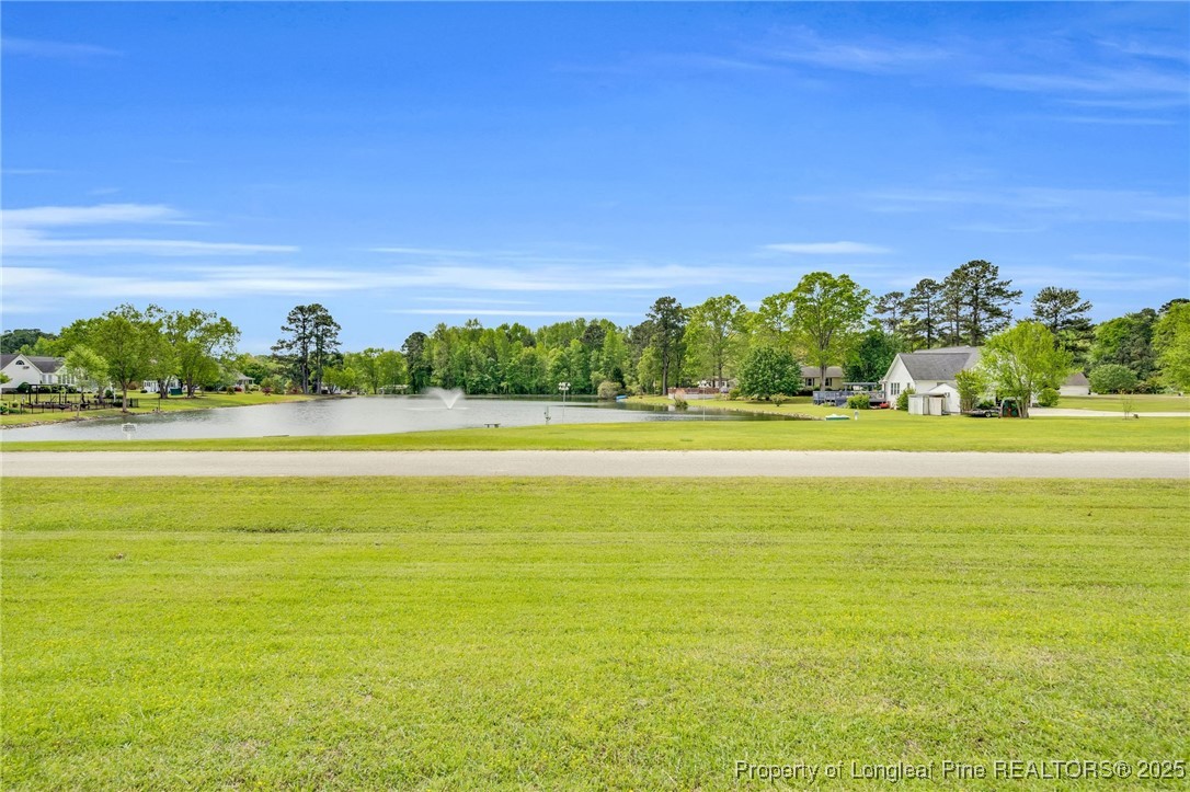 201 Wendy Place Benson, NC 27504 - Photo 37 of 48