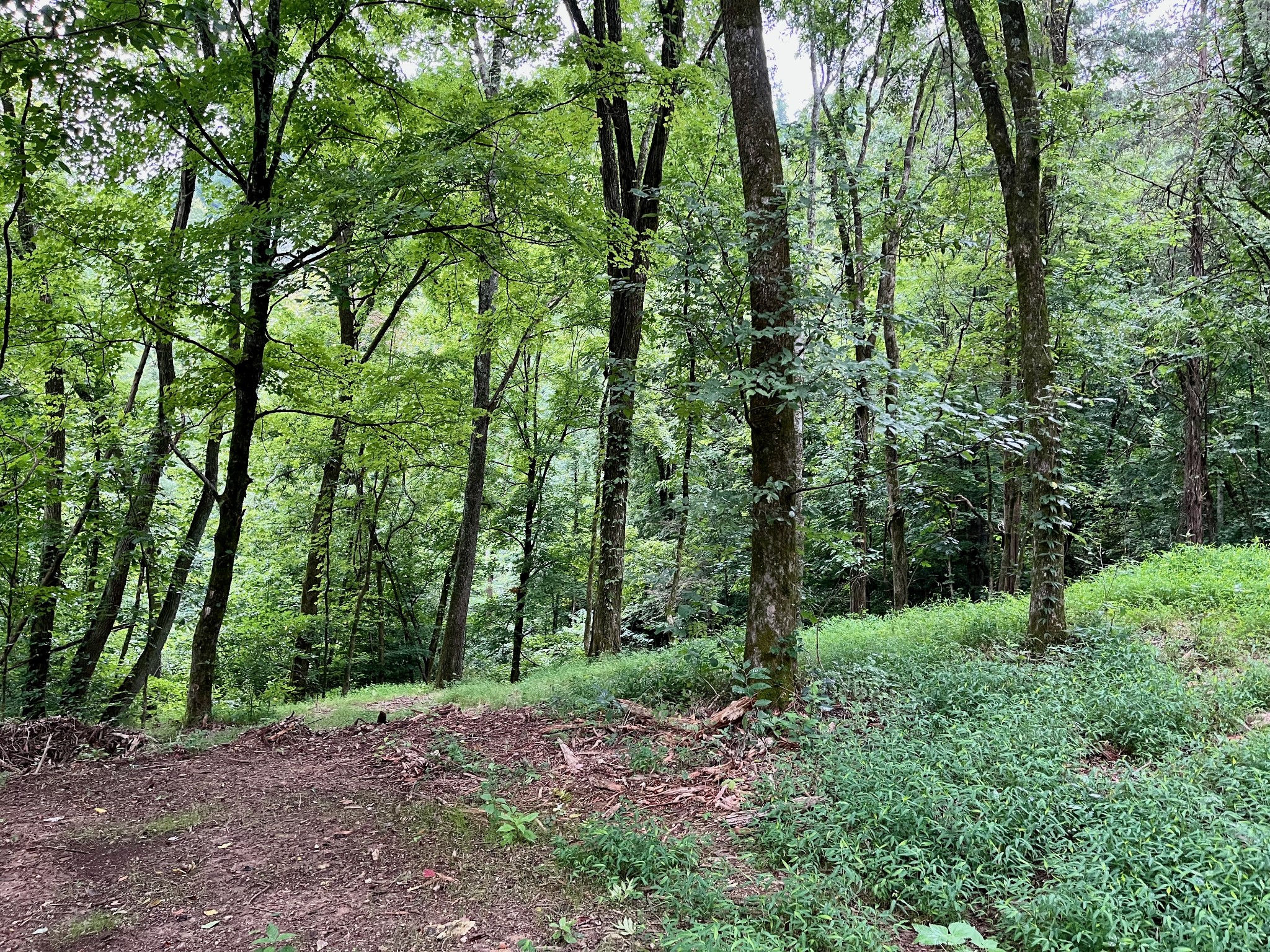 135 Dillehay Hollow Road Pleasant Shade, TN 37145 - Photo 41 of 47