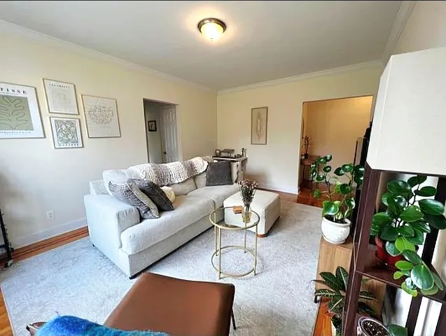 a living room with furniture and a potted plant