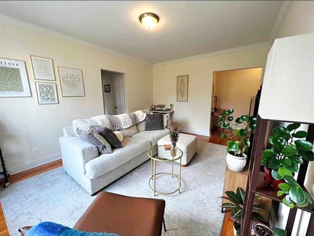 83-64 Talbot Street, Unit 4B Queens, NY 11415 - Photo 4 of 16 a living room with furniture and a potted plant