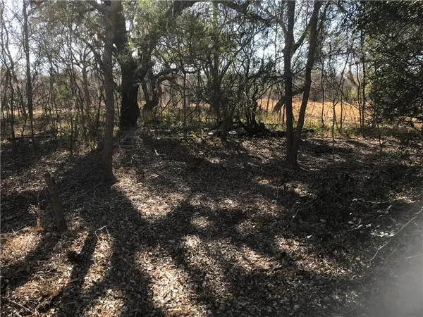 $35,000 | 0 Javelina Creek Drive, Sandia, TX 78383