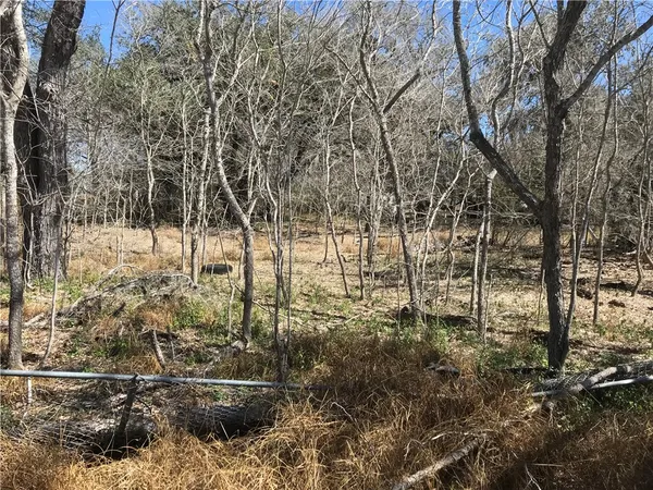 $35,000 | 0 Javelina Creek Drive, Sandia, TX 78383