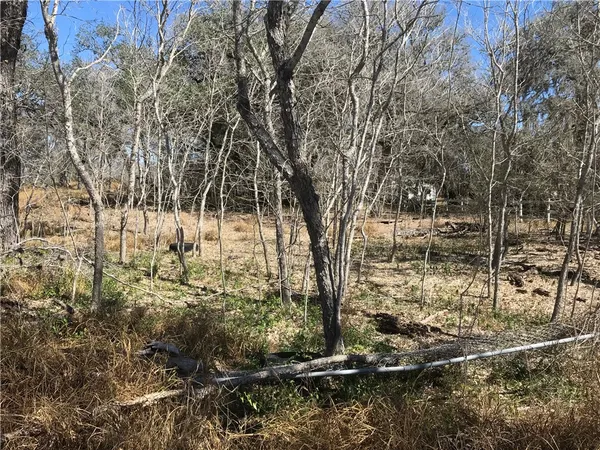 $35,000 | 0 Javelina Creek Drive, Sandia, TX 78383