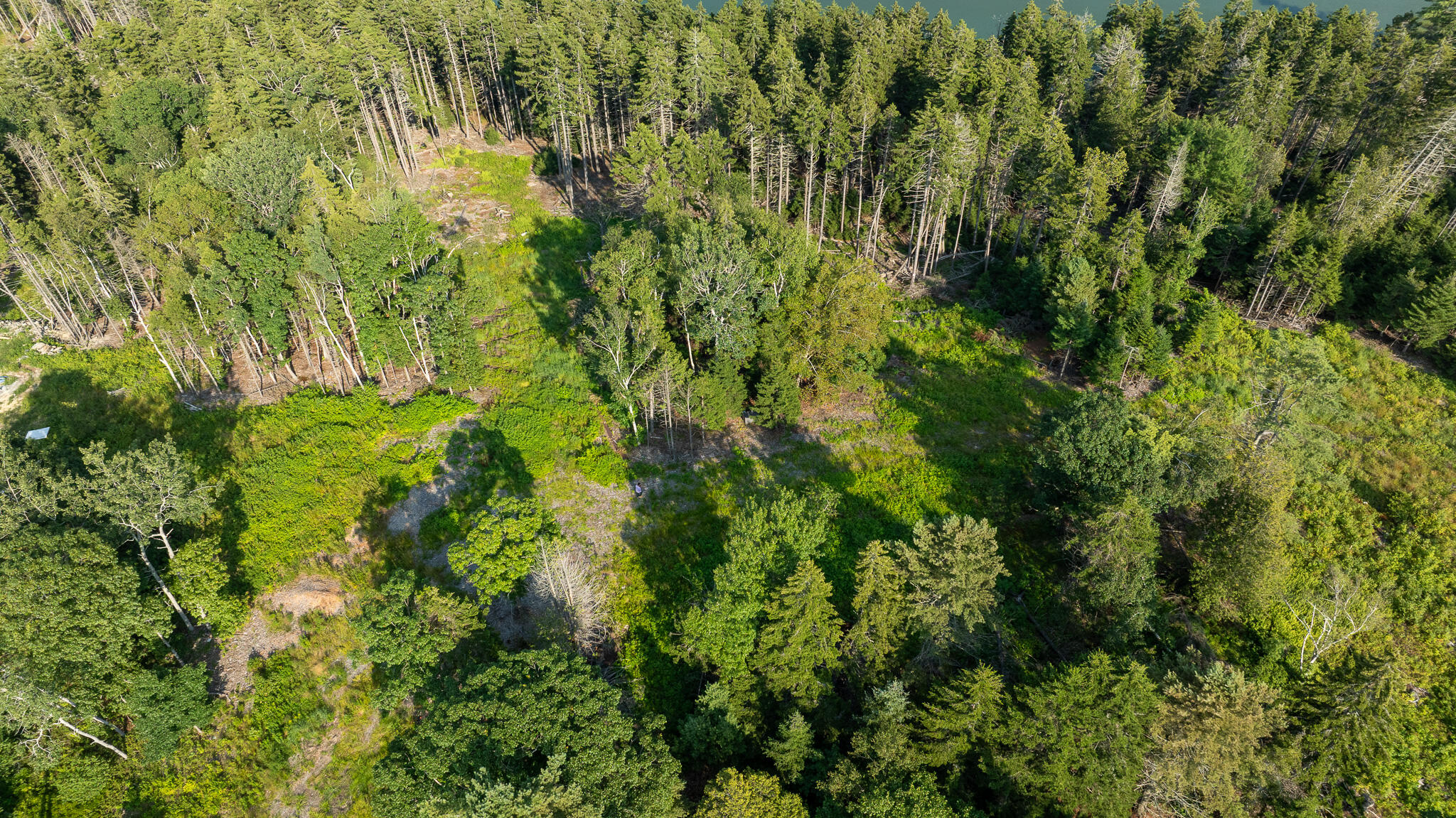 0 Bayview Road, Unit 2 Orrs Island, ME 04066 - Photo 11 of 61 DJI_0567