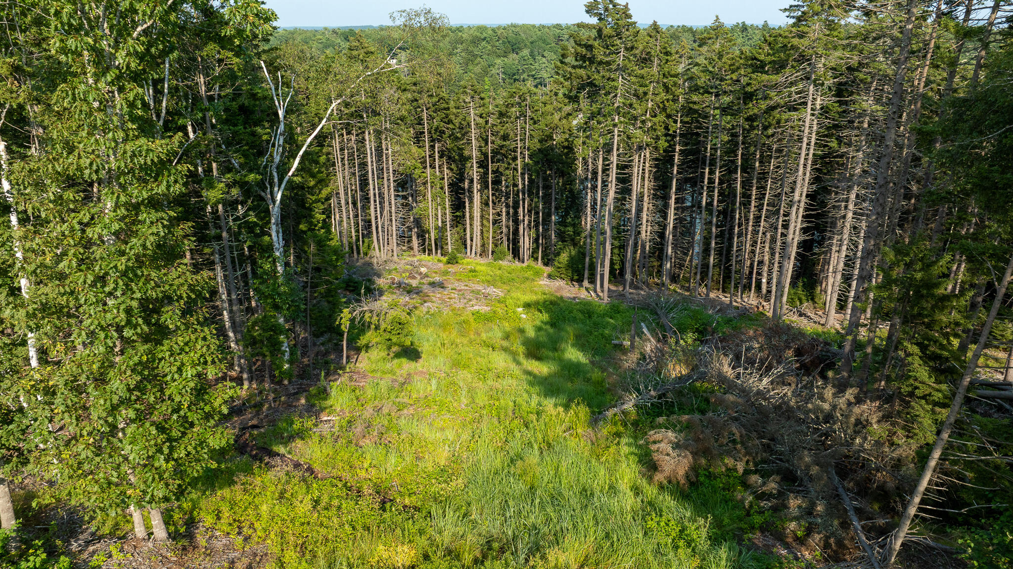 0 Bayview Road, Unit 2 Orrs Island, ME 04066 - Photo 14 of 61 DJI_0583