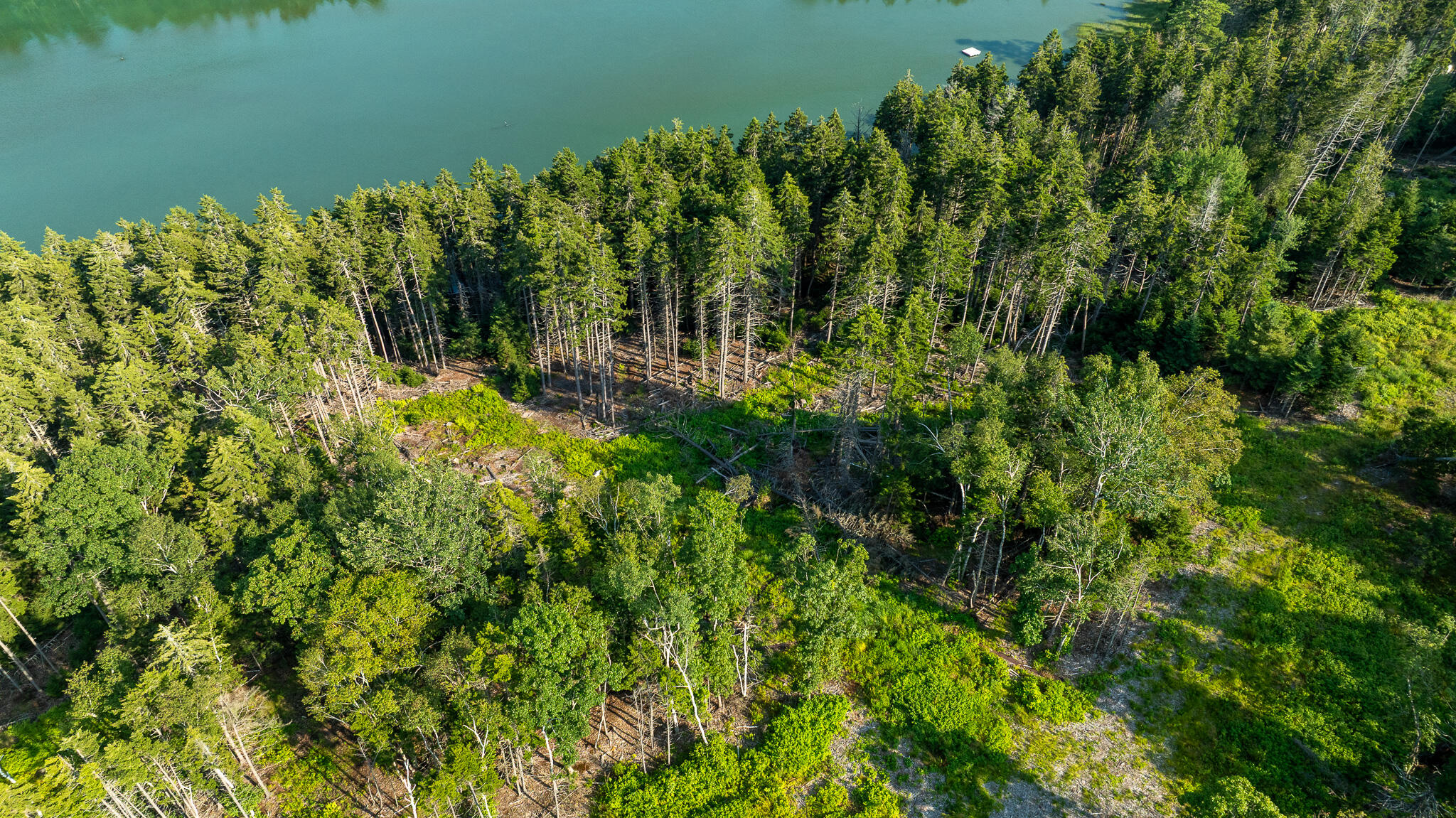 0 Bayview Road, Unit 2 Orrs Island, ME 04066 - Photo 20 of 61 DJI_0562