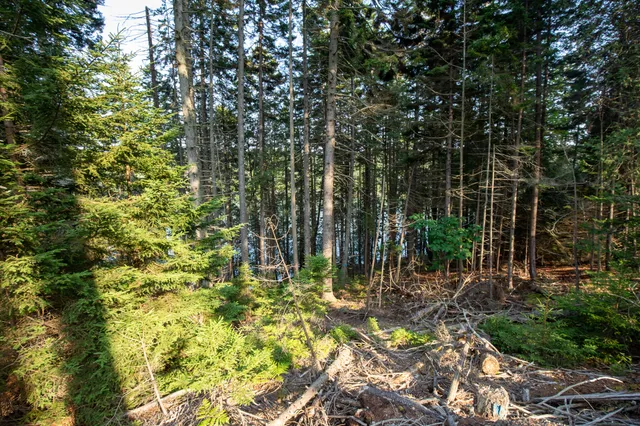 $399,000 | 0 Bayview Road, Unit 2, Orrs Island, ME 04066