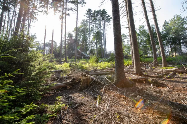 $399,000 | 0 Bayview Road, Unit 2, Orrs Island, ME 04066