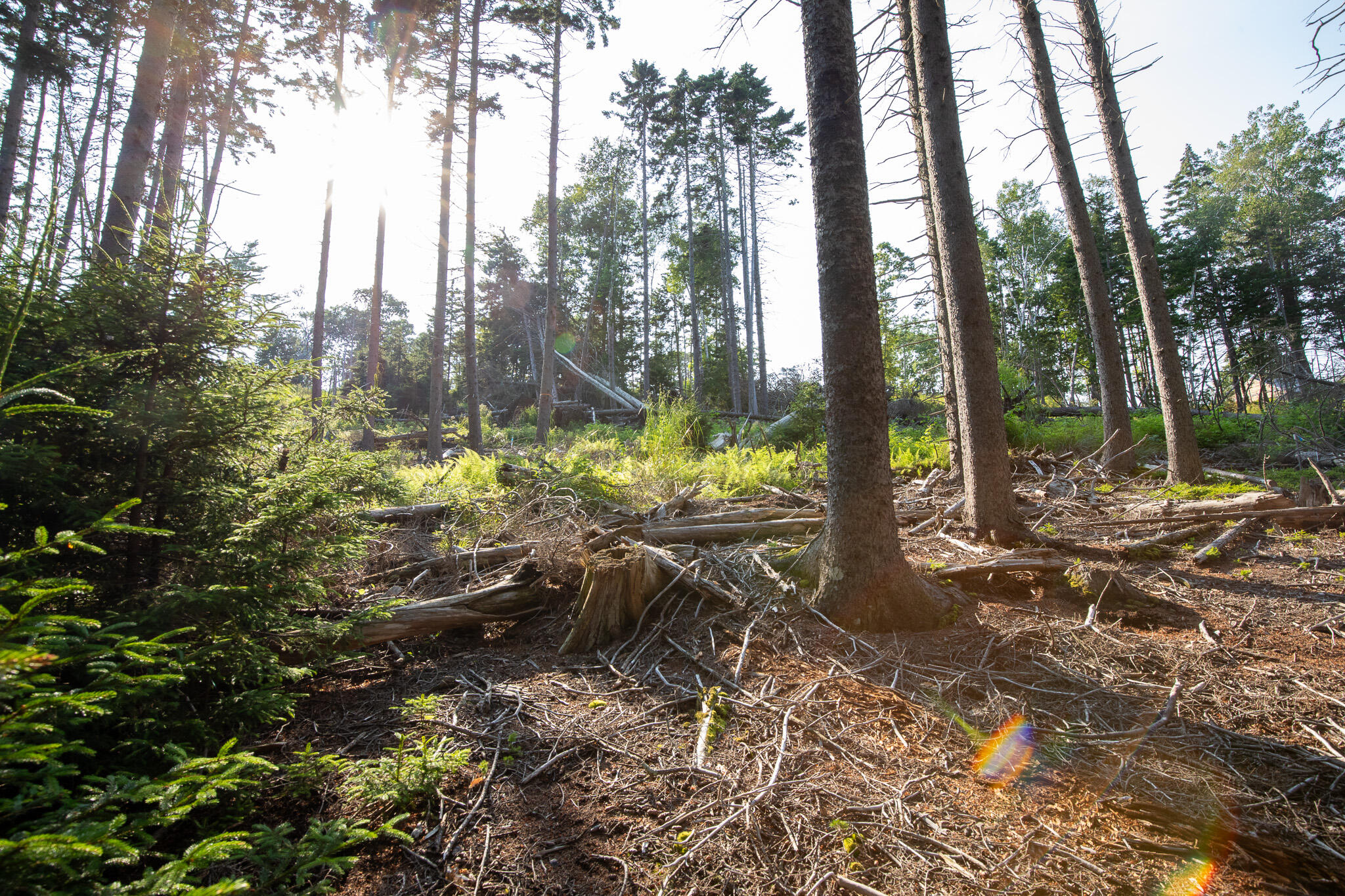 0 Bayview Road, Unit 2 Orrs Island, ME 04066 - Photo 25 of 61 837A9863