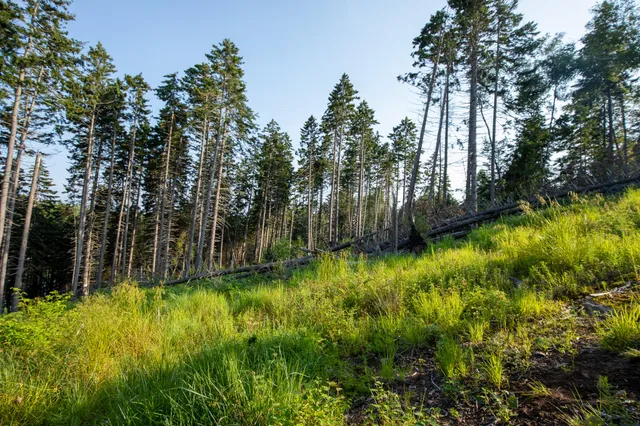 $399,000 | 0 Bayview Road, Unit 2, Orrs Island, ME 04066