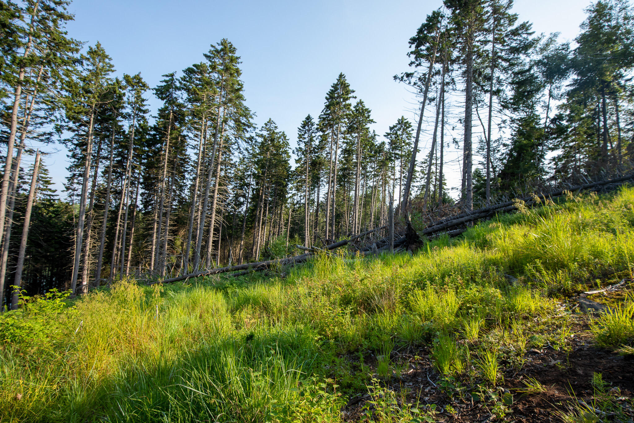 0 Bayview Road, Unit 2 Orrs Island, ME 04066 - Photo 26 of 61 837A9946