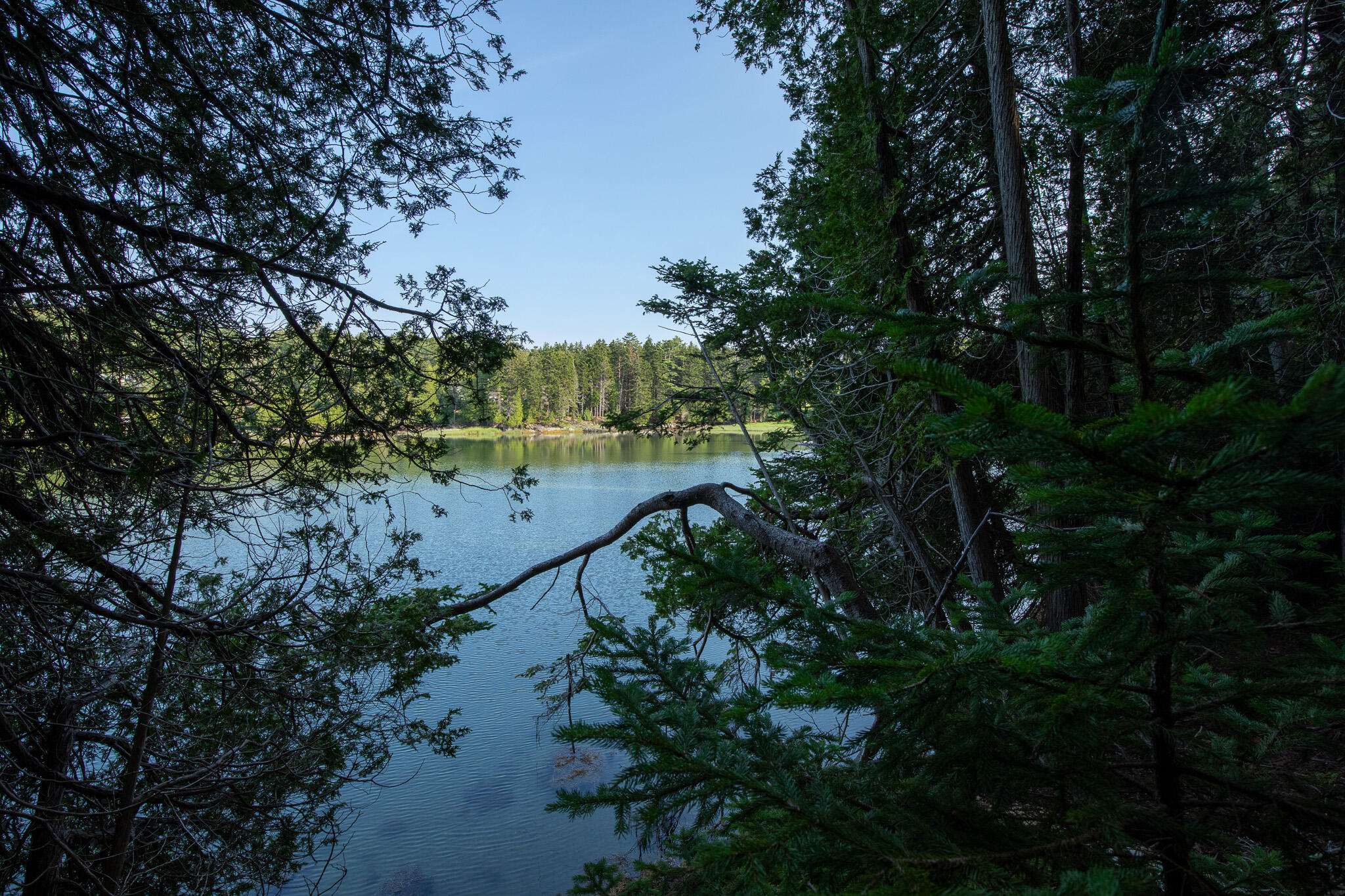 0 Bayview Road, Unit 2 Orrs Island, ME 04066 - Photo 27 of 61 837A9921