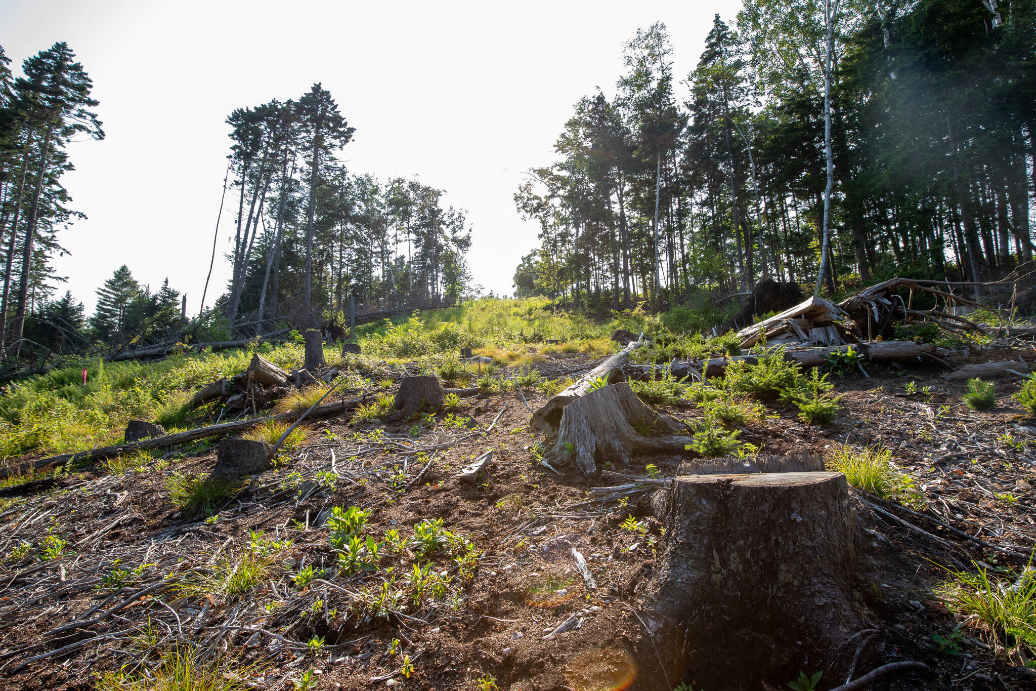 0 Bayview Road, Unit 2 Orrs Island, ME 04066 - Photo 28 of 61 837A9847