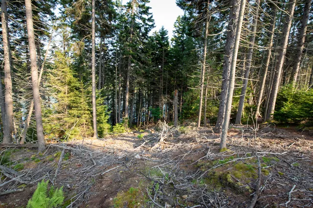 $399,000 | 0 Bayview Road, Unit 2, Orrs Island, ME 04066