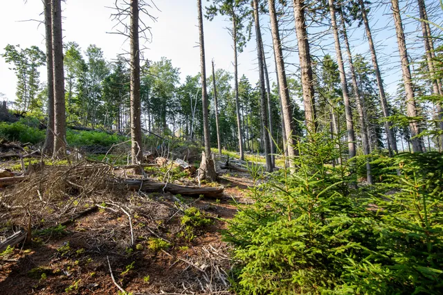 $399,000 | 0 Bayview Road, Unit 2, Orrs Island, ME 04066