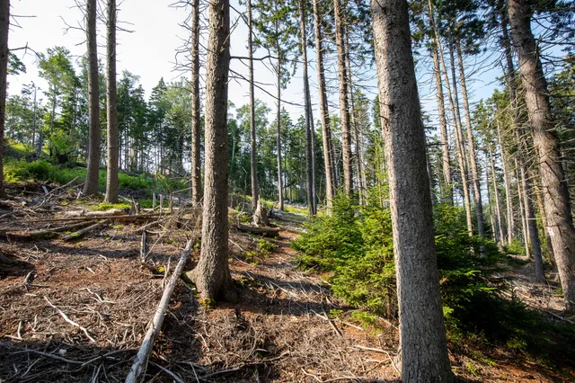 $399,000 | 0 Bayview Road, Unit 2, Orrs Island, ME 04066