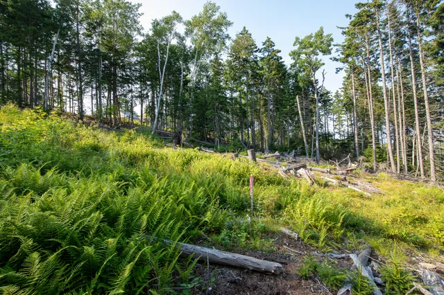 $399,000 | 0 Bayview Road, Unit 2, Orrs Island, ME 04066