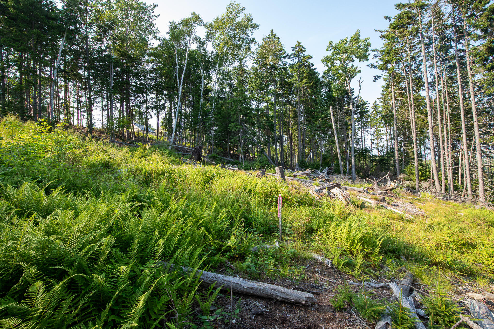 0 Bayview Road, Unit 2 Orrs Island, ME 04066 - Photo 32 of 61 837A9853