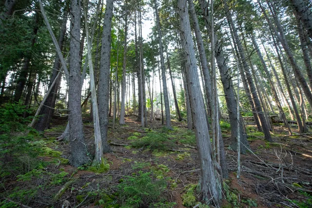 $399,000 | 0 Bayview Road, Unit 2, Orrs Island, ME 04066