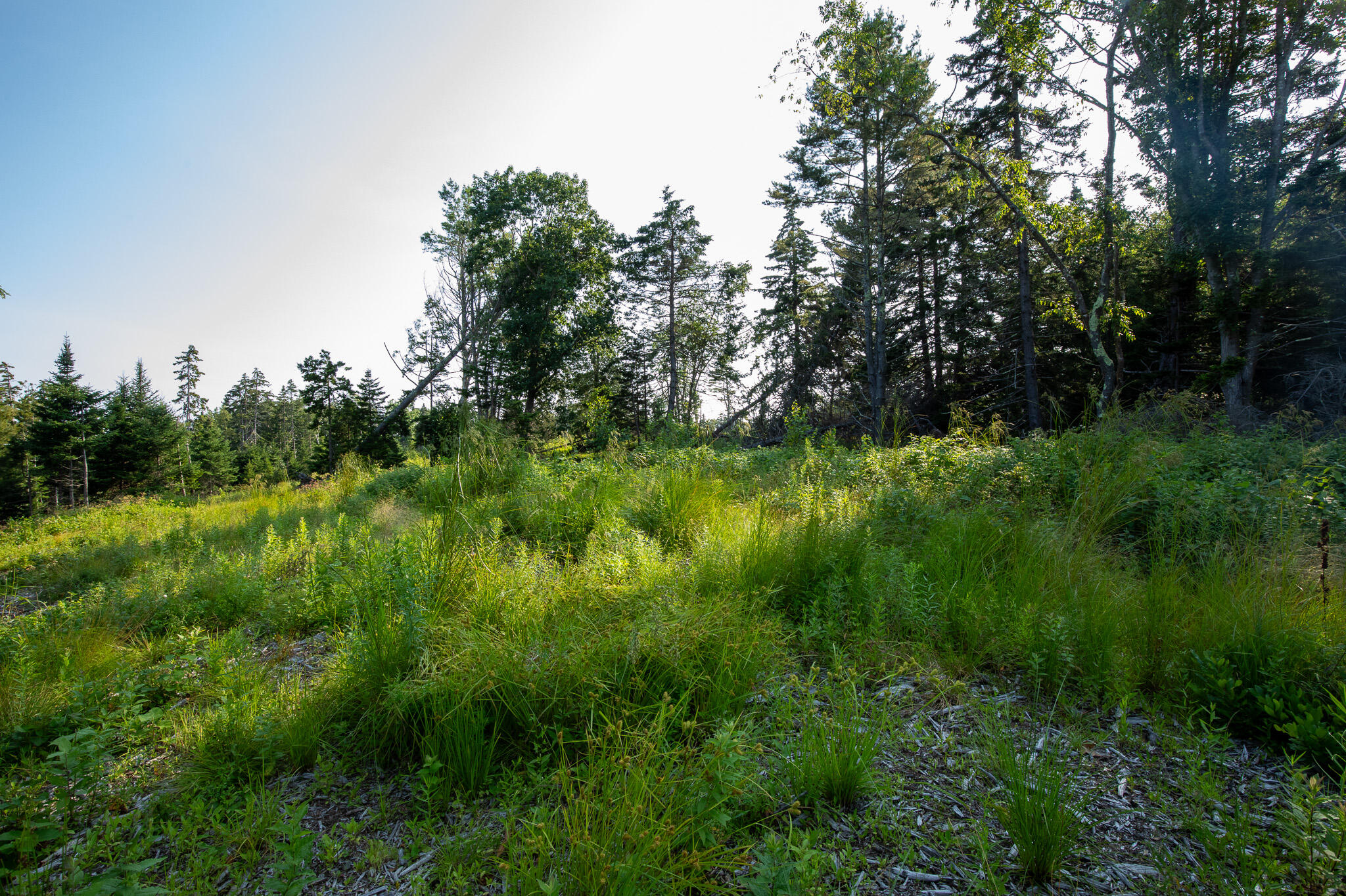 0 Bayview Road, Unit 2 Orrs Island, ME 04066 - Photo 34 of 61 837A9829