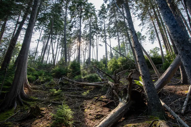 $399,000 | 0 Bayview Road, Unit 2, Orrs Island, ME 04066