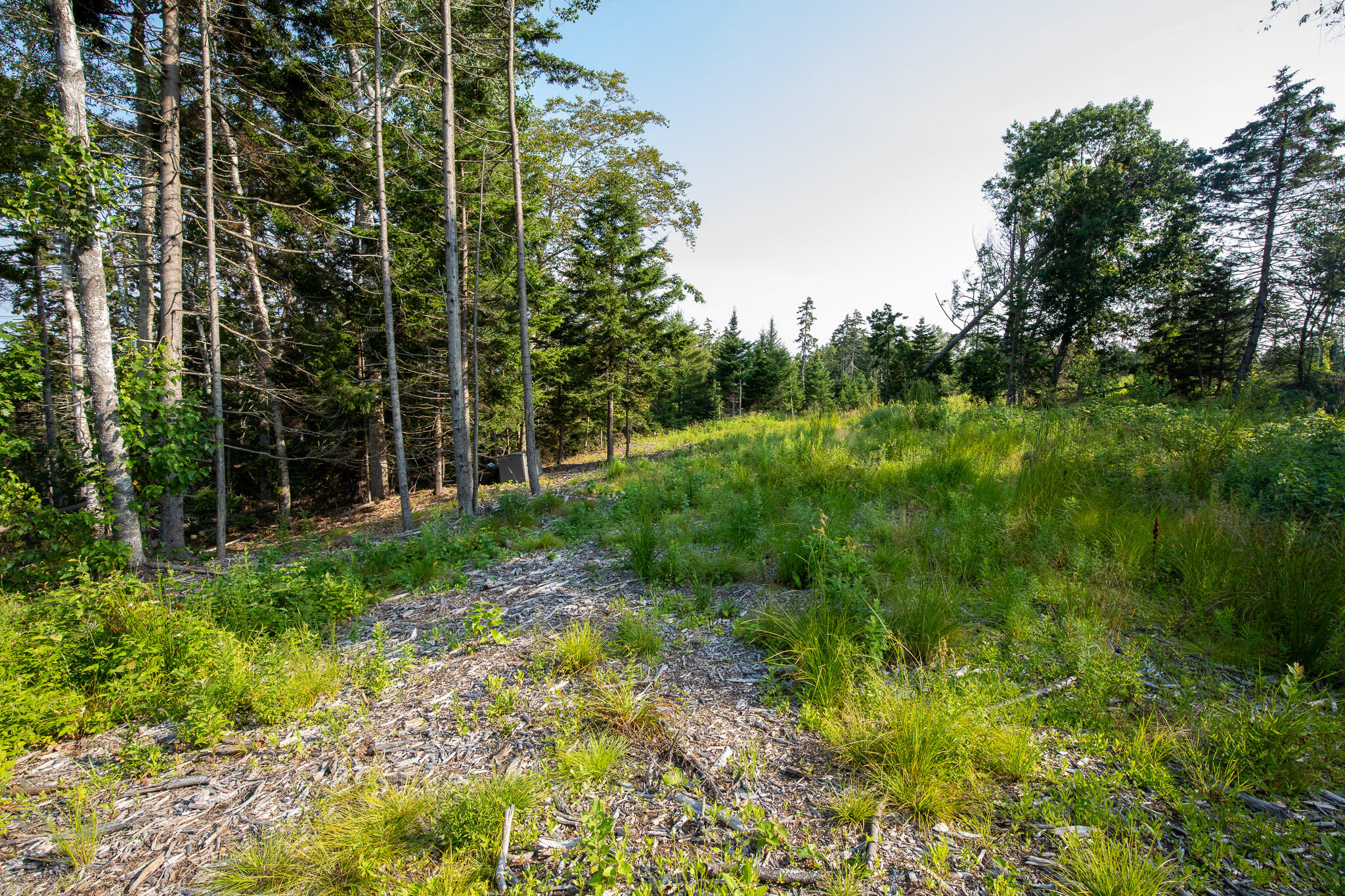 0 Bayview Road, Unit 2 Orrs Island, ME 04066 - Photo 37 of 61 837A9827