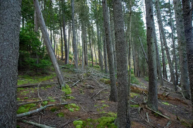 $399,000 | 0 Bayview Road, Unit 2, Orrs Island, ME 04066