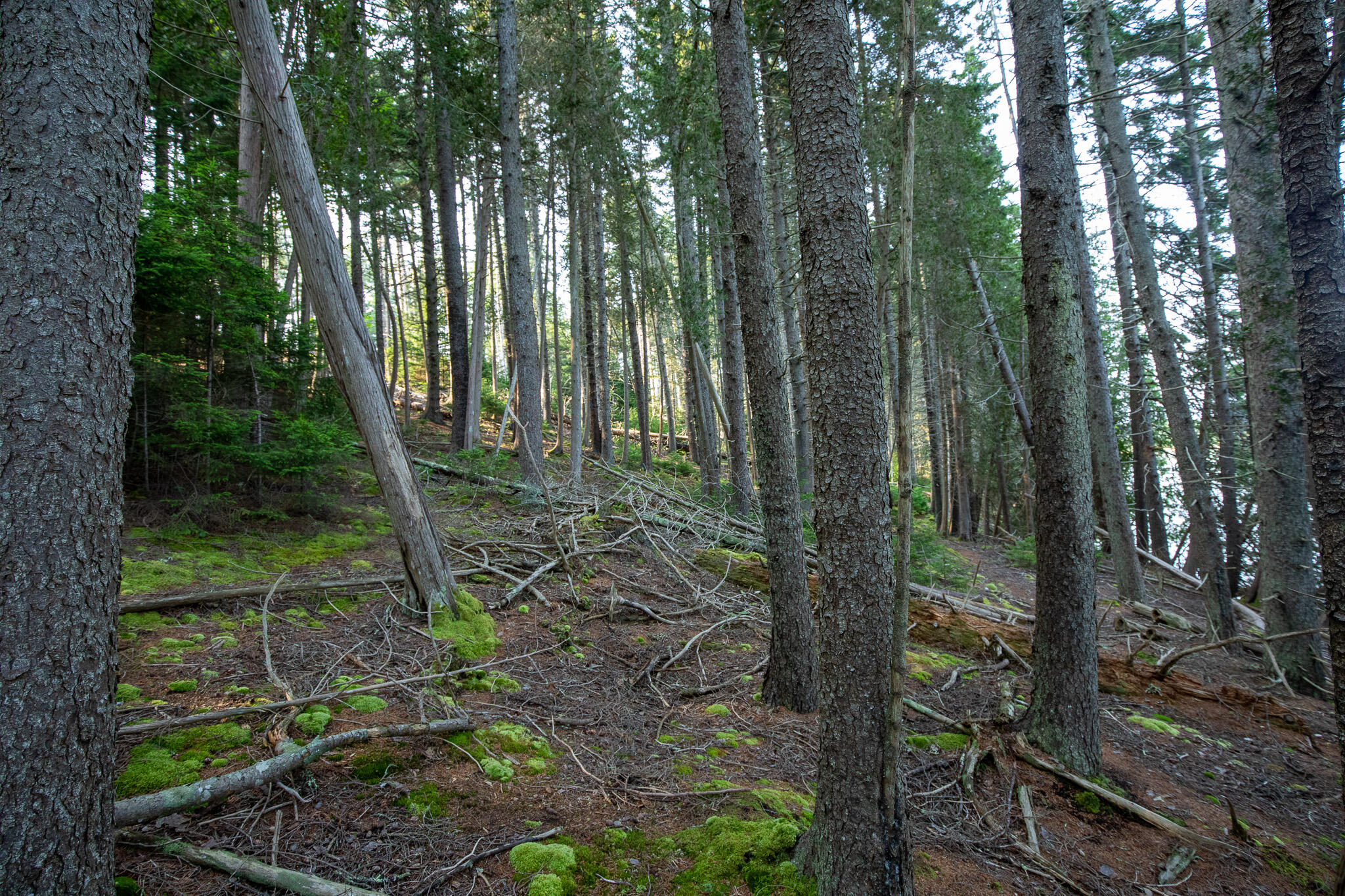 0 Bayview Road, Unit 2 Orrs Island, ME 04066 - Photo 38 of 61 837A9935
