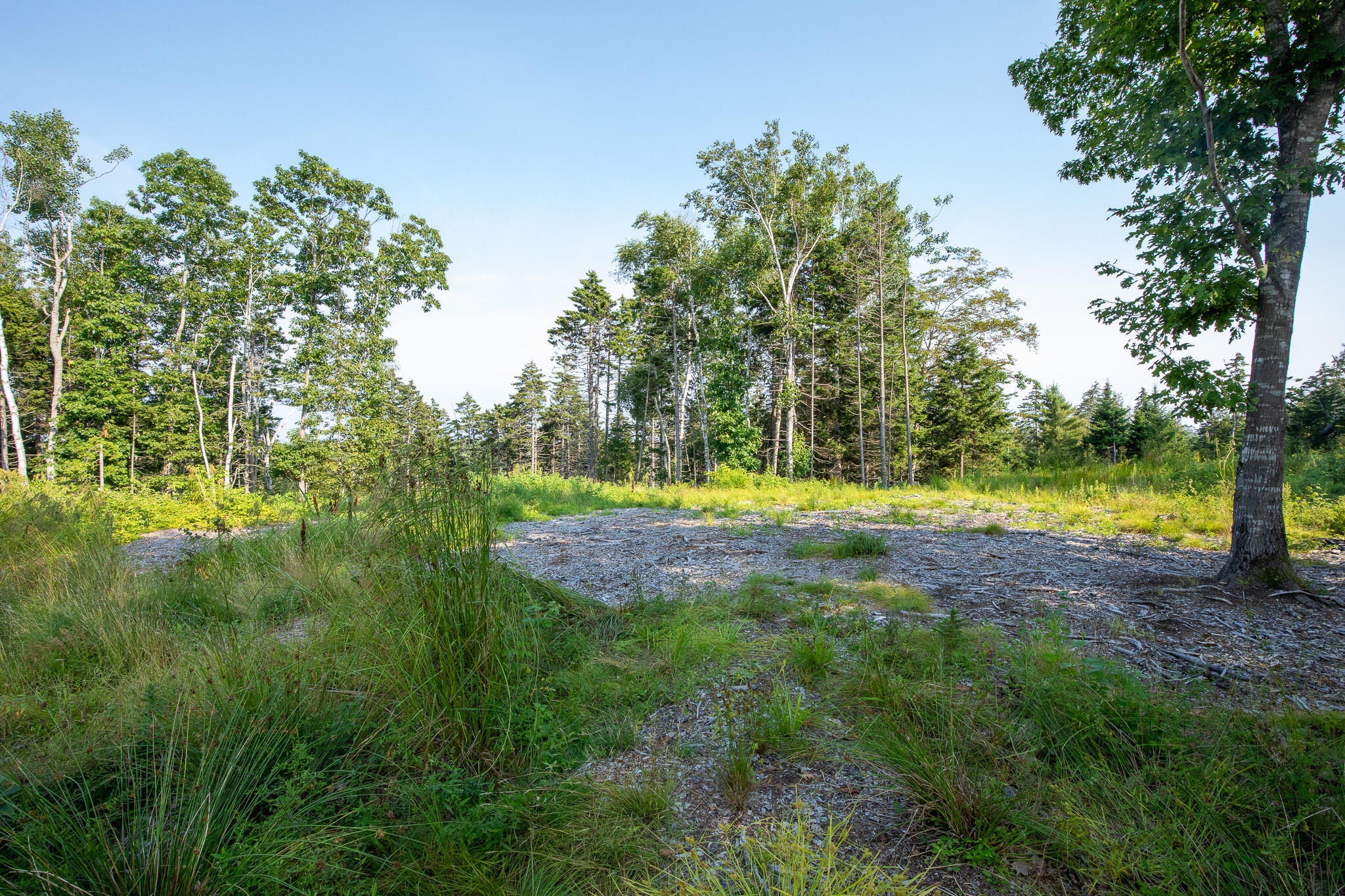 0 Bayview Road, Unit 2 Orrs Island, ME 04066 - Photo 39 of 61 837A9816