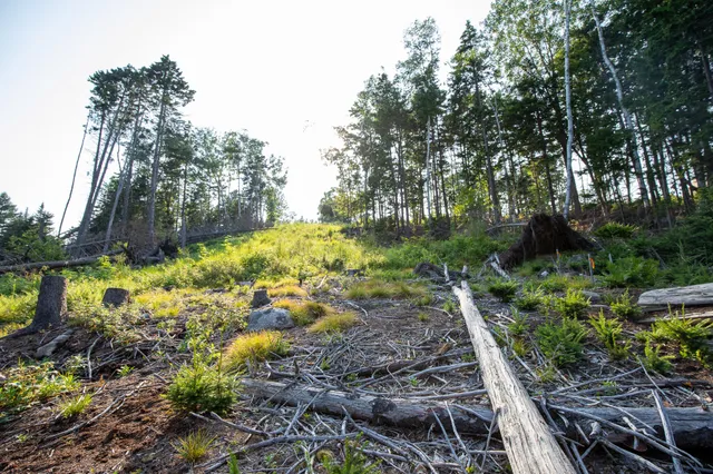 $399,000 | 0 Bayview Road, Unit 2, Orrs Island, ME 04066