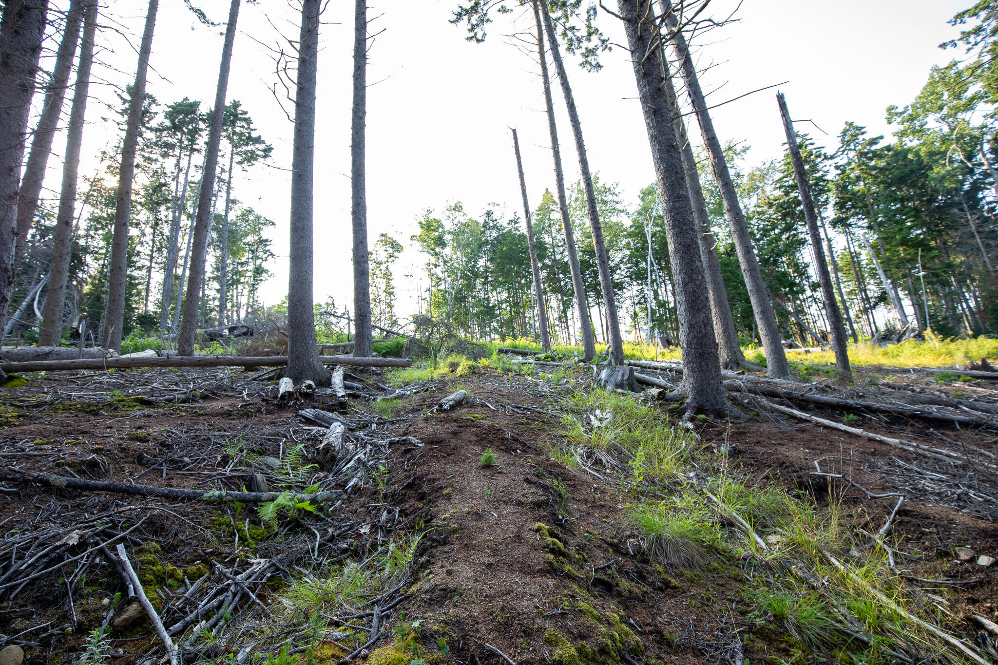 0 Bayview Road, Unit 2 Orrs Island, ME 04066 - Photo 41 of 61 837A9941