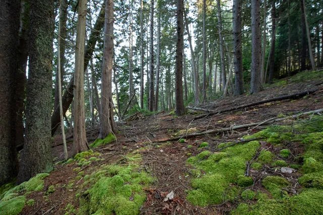 $399,000 | 0 Bayview Road, Unit 2, Orrs Island, ME 04066