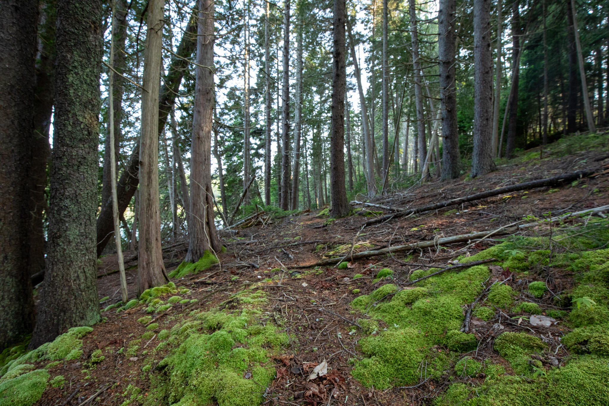 0 Bayview Road, Unit 2 Orrs Island, ME 04066 - Photo 42 of 61 837A9903