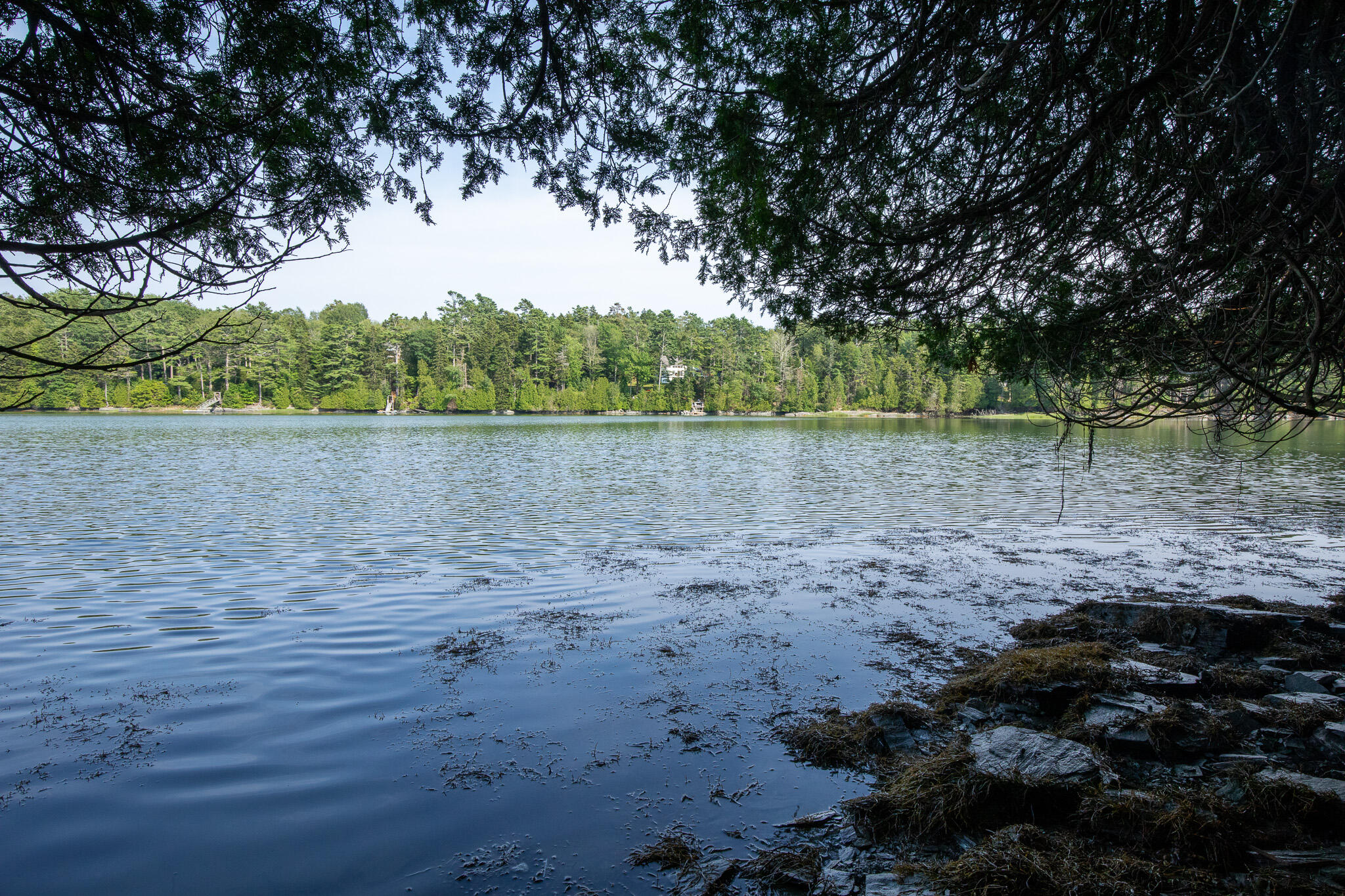 0 Bayview Road, Unit 2 Orrs Island, ME 04066 - Photo 43 of 61 837A9795