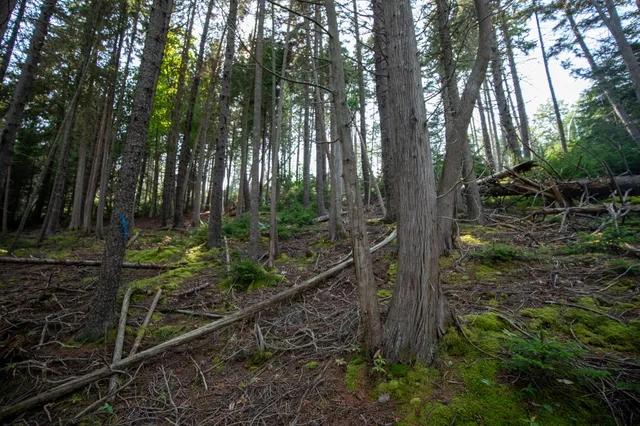 $399,000 | 0 Bayview Road, Unit 2, Orrs Island, ME 04066