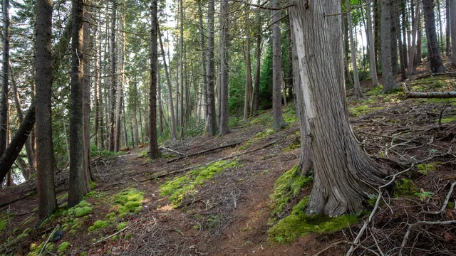 $399,000 | 0 Bayview Road, Unit 2, Orrs Island, ME 04066