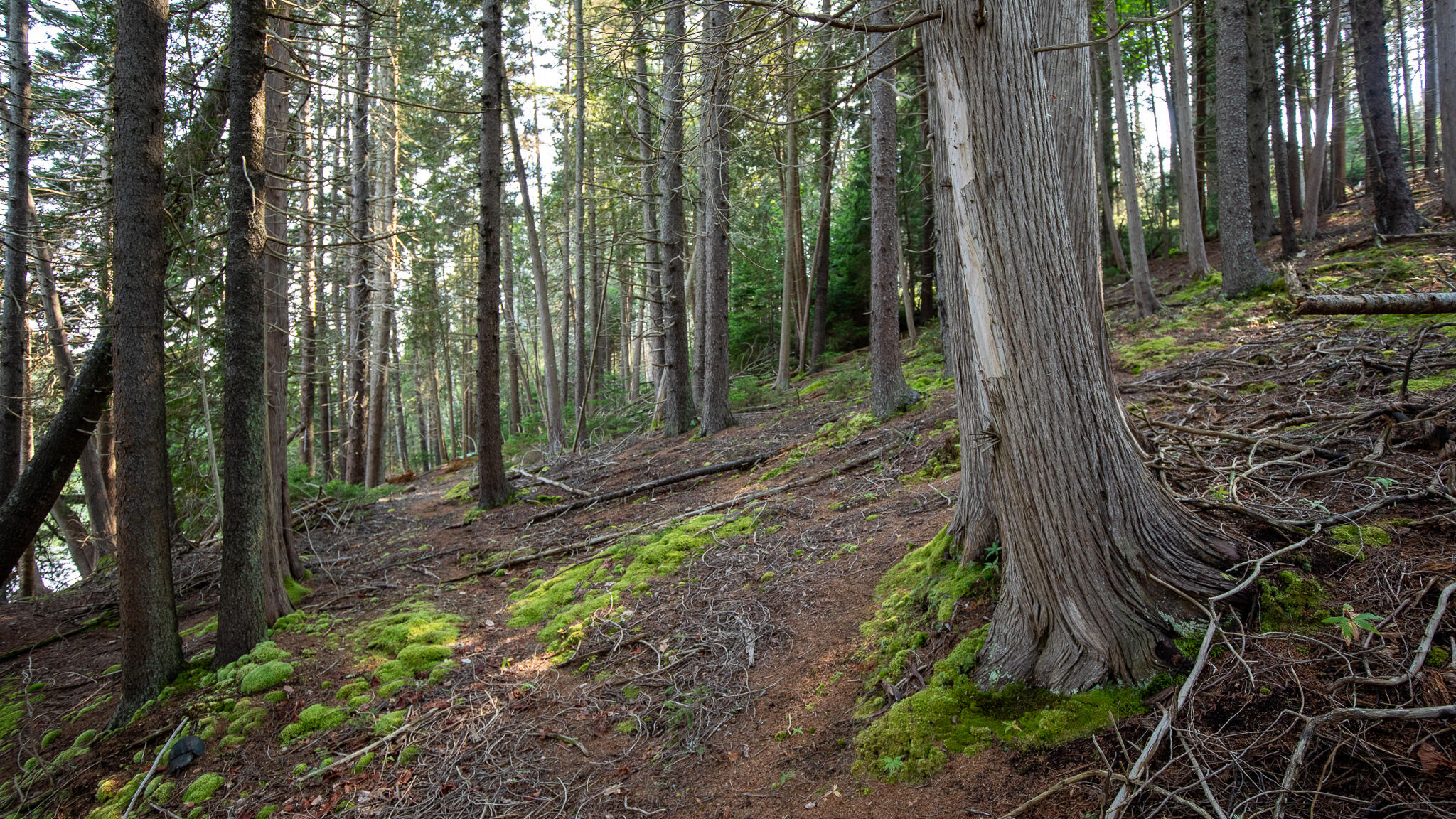 0 Bayview Road, Unit 2 Orrs Island, ME 04066 - Photo 47 of 61 837A9788