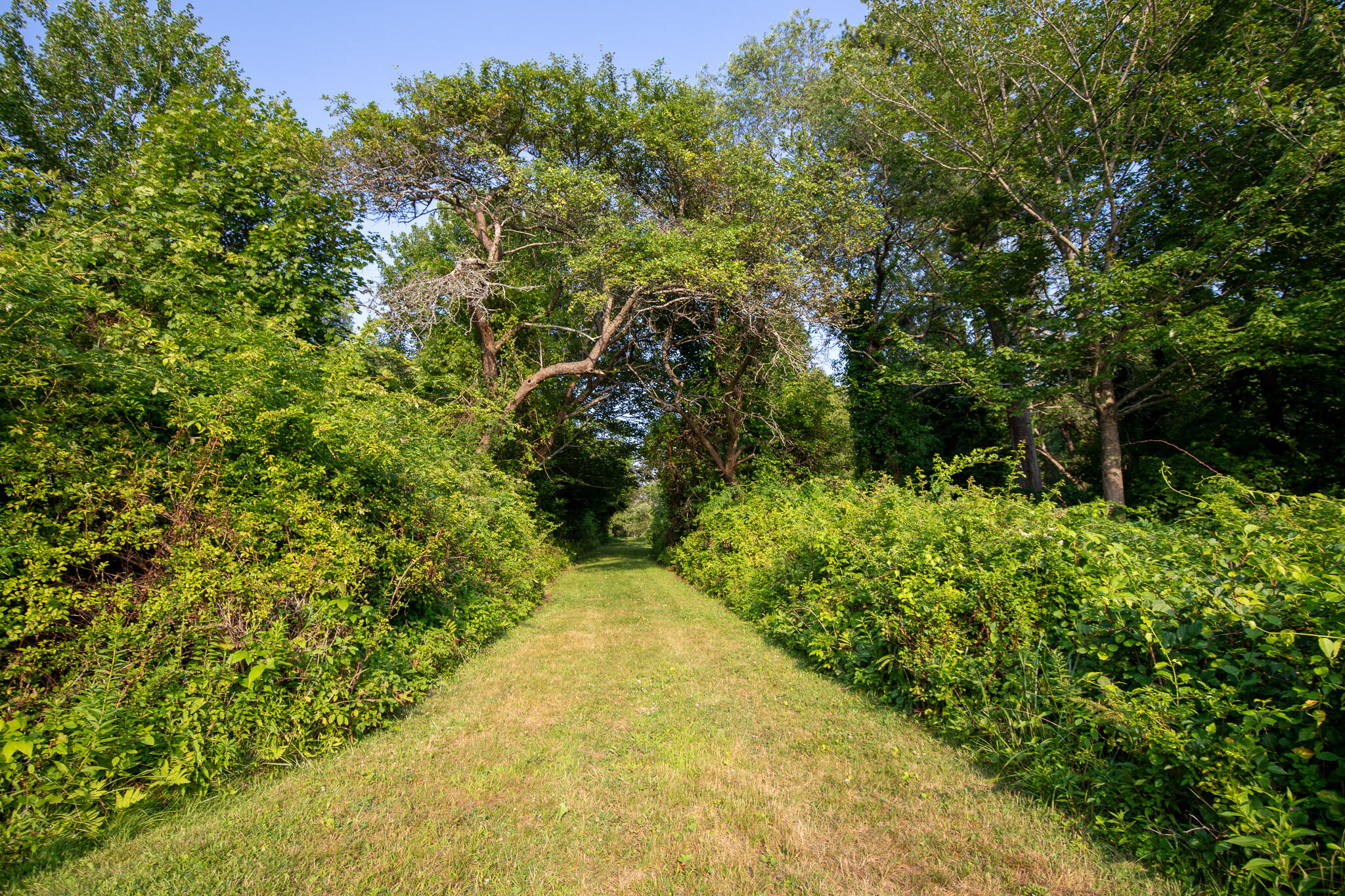0 Bayview Road, Unit 2 Orrs Island, ME 04066 - Photo 52 of 61 837A0007
