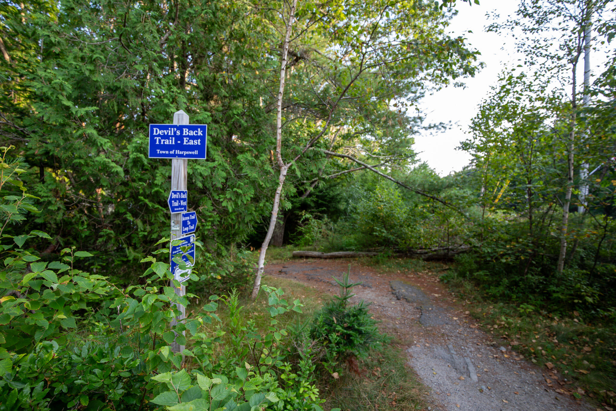 0 Bayview Road, Unit 2 Orrs Island, ME 04066 - Photo 57 of 61 837A0036