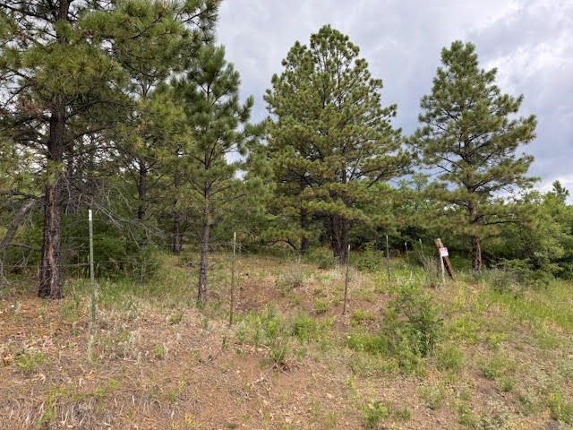 1 La Sierra Road Holman, NM 87723 - Photo 5 of 18
