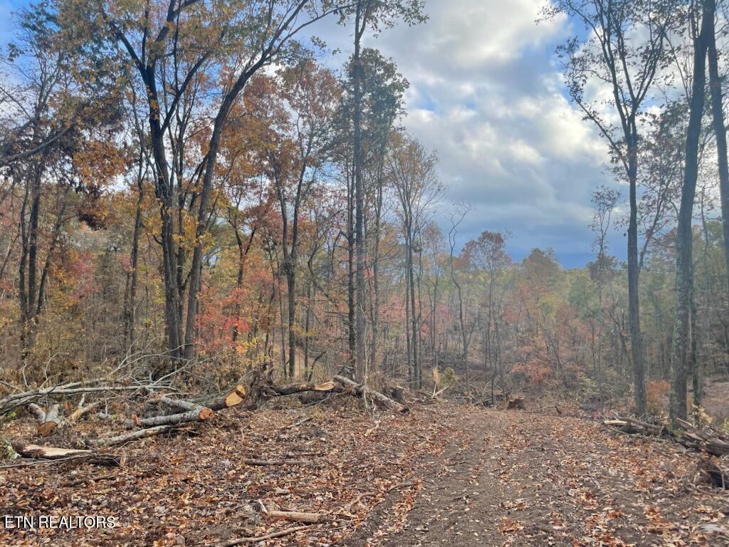 Grove Road Loudon, TN 37774 - Photo 1 of 12 1000005684