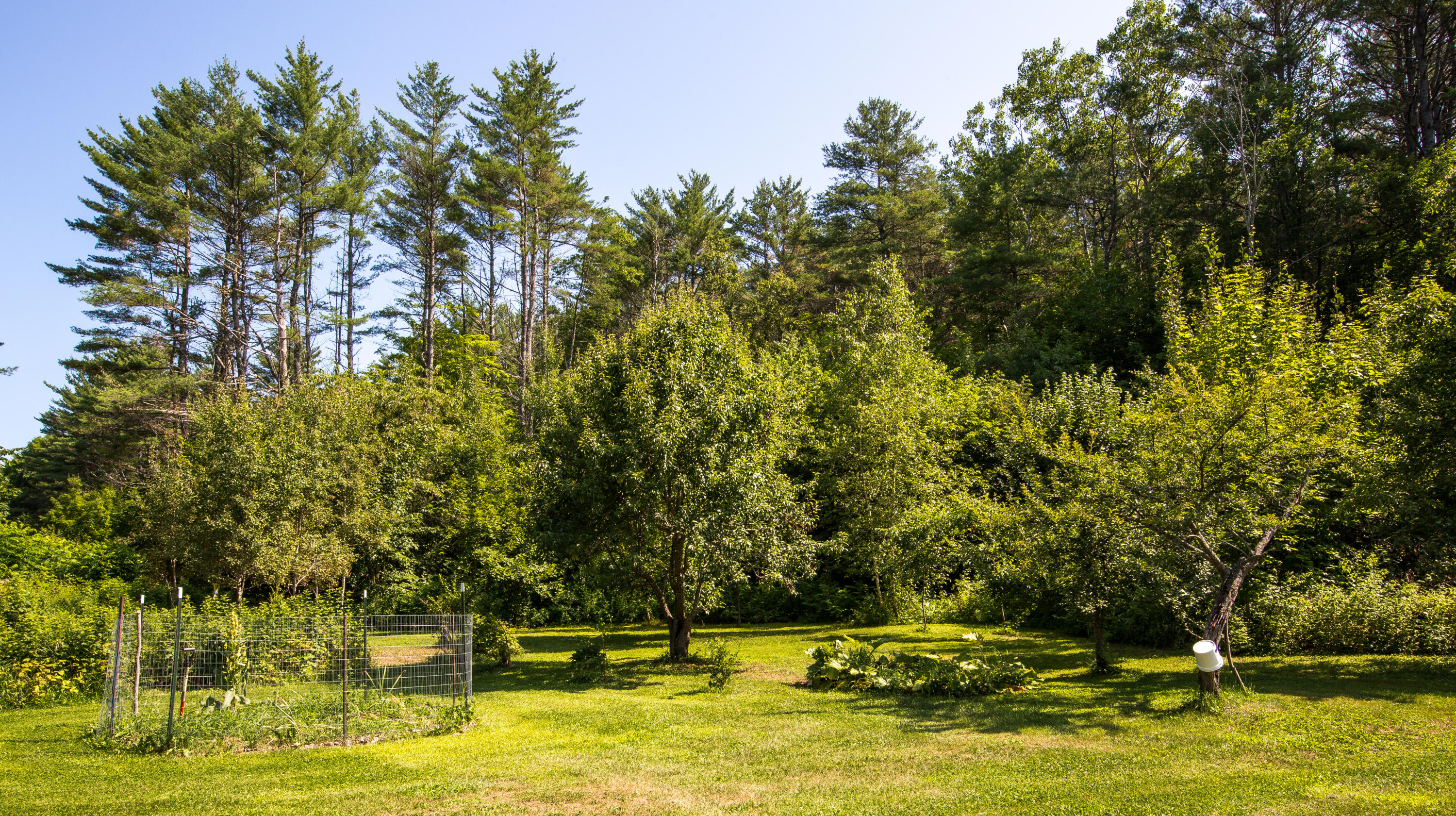 59 Intervale Road Bethel, ME 04217 - Photo 8 of 58 Crowell Property Photos-23